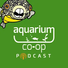 Aquarium Coop discount code